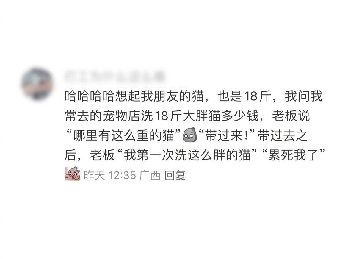 自信的老板：我一个专业人士，有什么大胖猫我没洗过.....咱这种相当于两桶5L饮