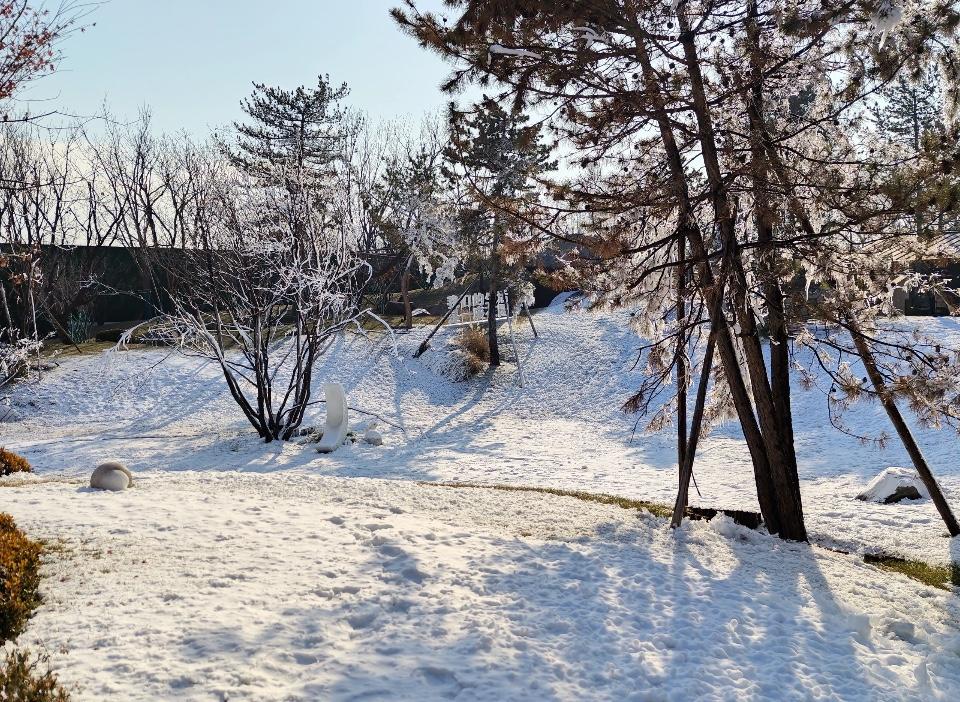有谁能猜到这几张照片是在哪里？我猜是北京！

昨天，有网友发了一组图片，让大家猜