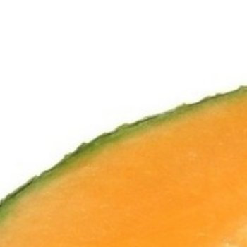 哈密瓜的种植方法一、播种育苗哈密瓜通过种子育苗，在种植前要先进行育苗。选用优质的