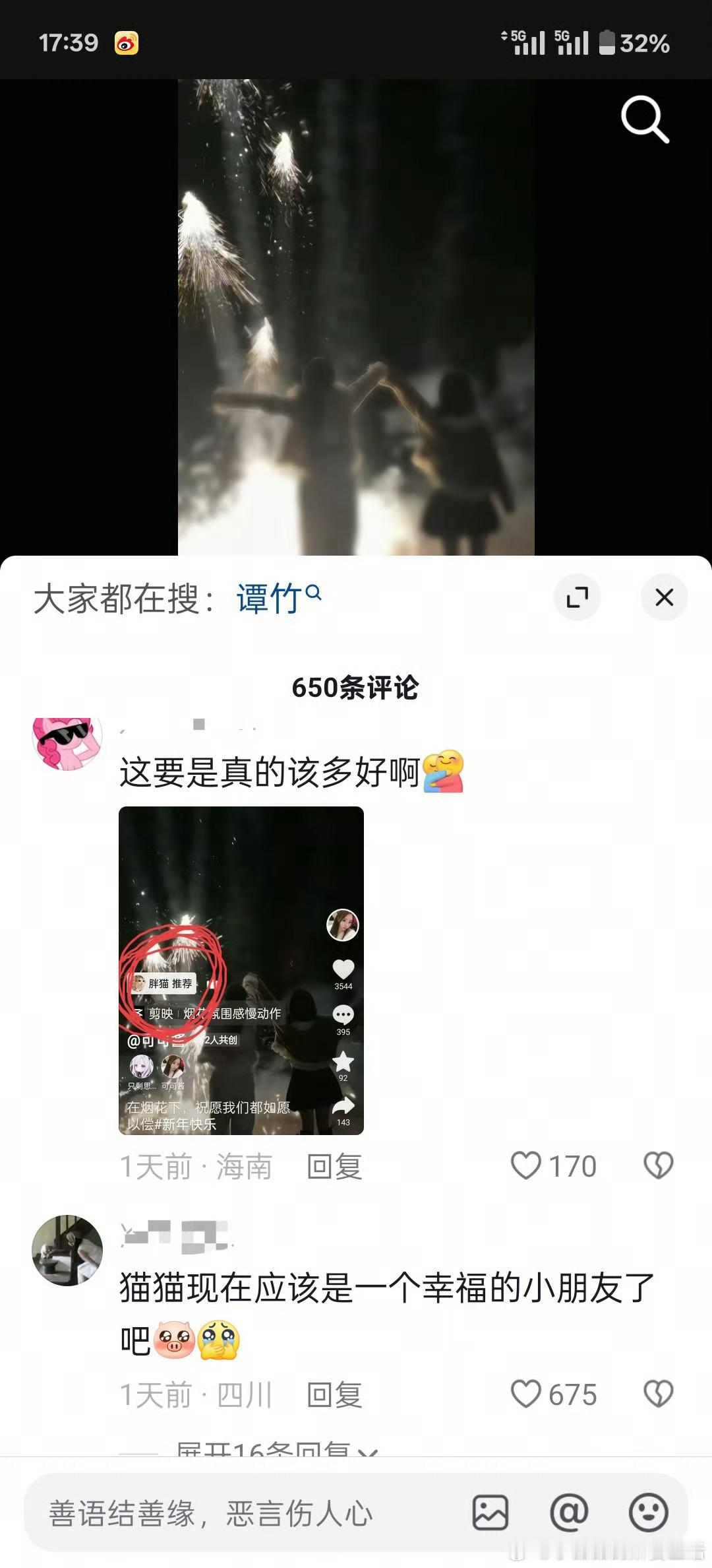 我始终相信猫儿未曾离开 