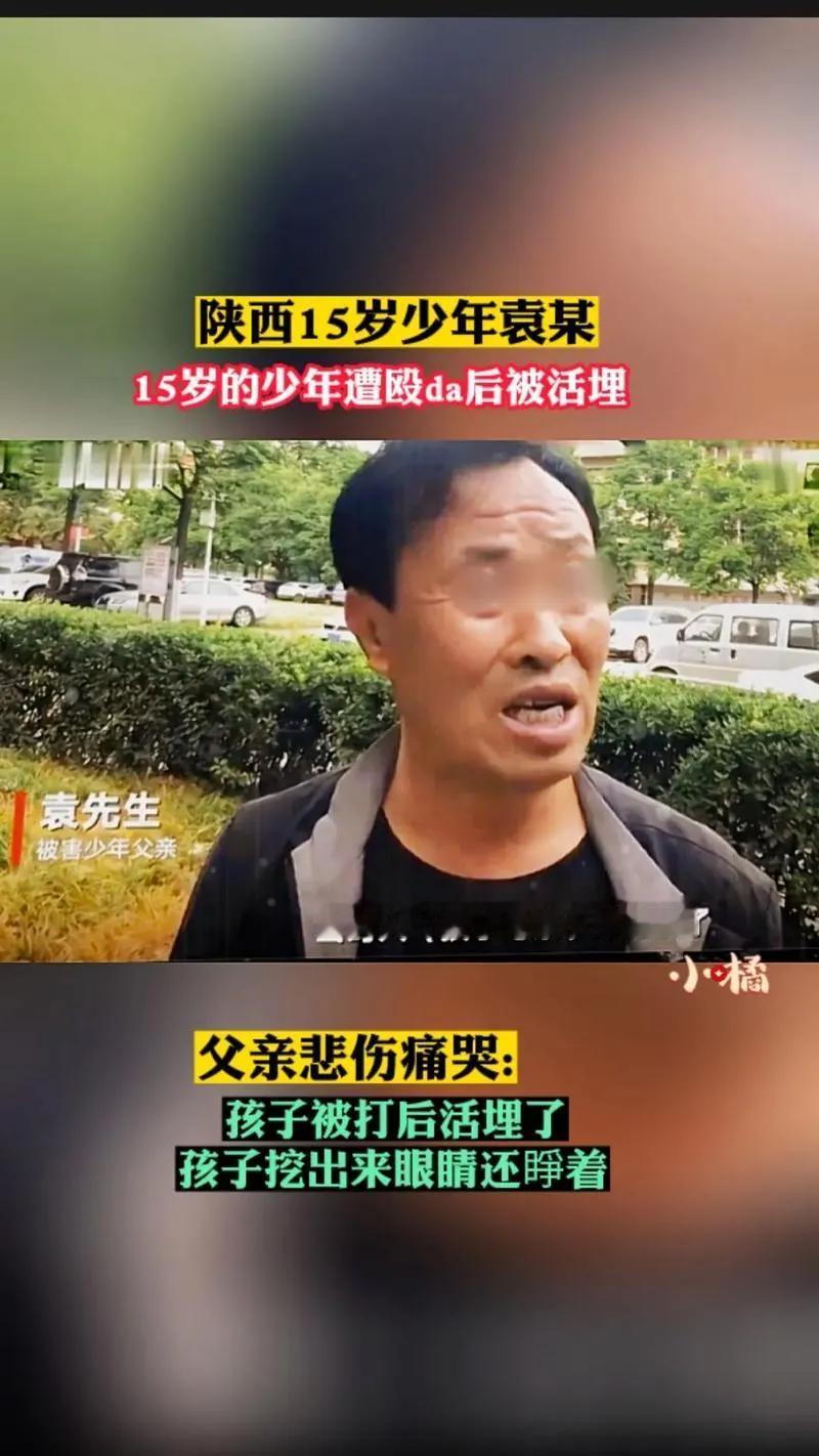 陕西15岁少年遭6个未成年人霸凌殴打后活埋致死，有谁还记得这个案件我没查到判决结