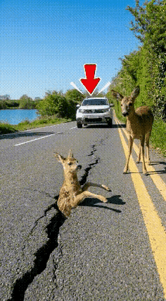 这个女司机的善良举动一幕！真让人感动到流泪。大家仔细看视频 ！

马路开了一条大