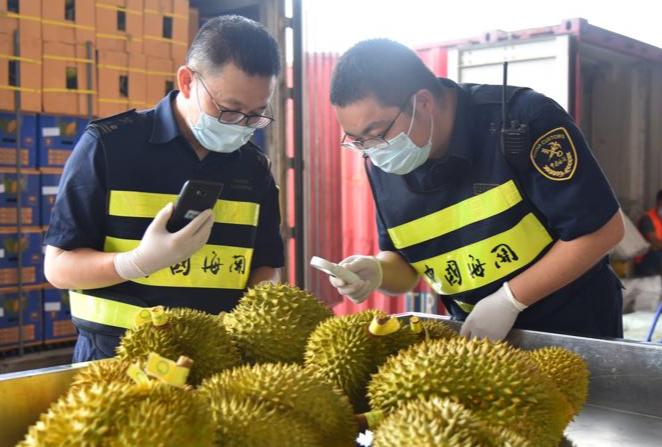 失去中国市场后，大量水果烂地里卖不出去，现在开始后悔得罪中国。

这事儿还得从 