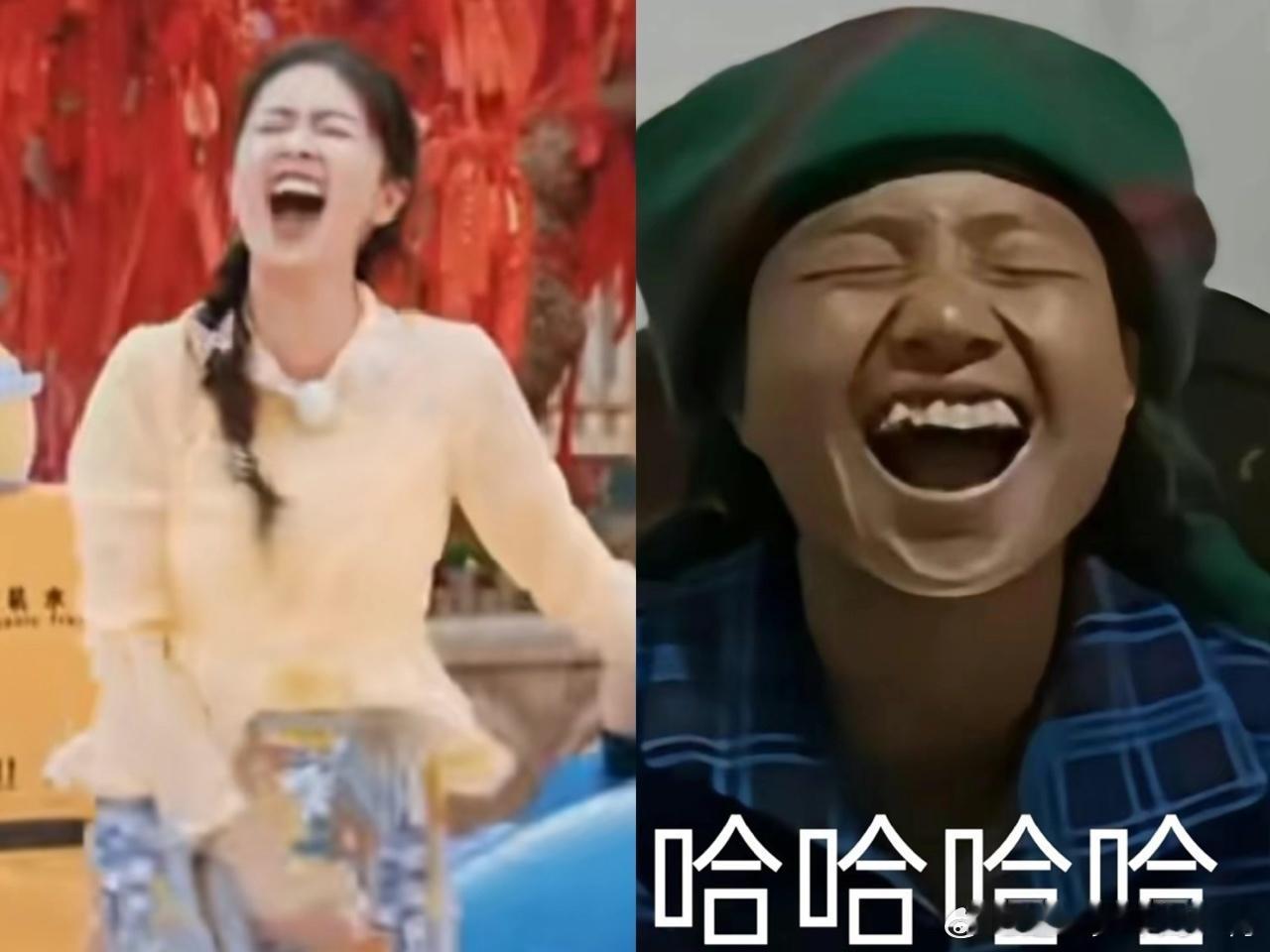 #白鹿撞脸小英表情包#白鹿大笑表情包上新，直接笑出了小英表情包，毫无偶像包袱的白