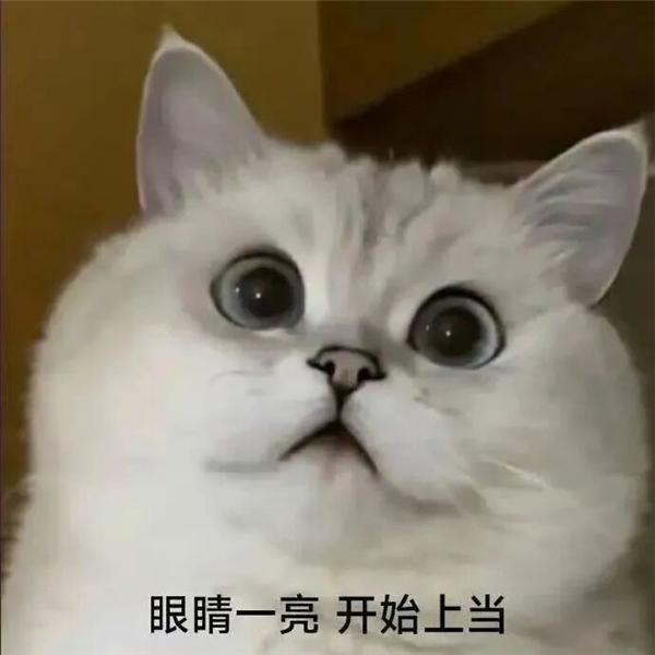 阔屏手机成新风口有些形态是为了新的营销口，至于能不能长久还要看消费者的选择。升降