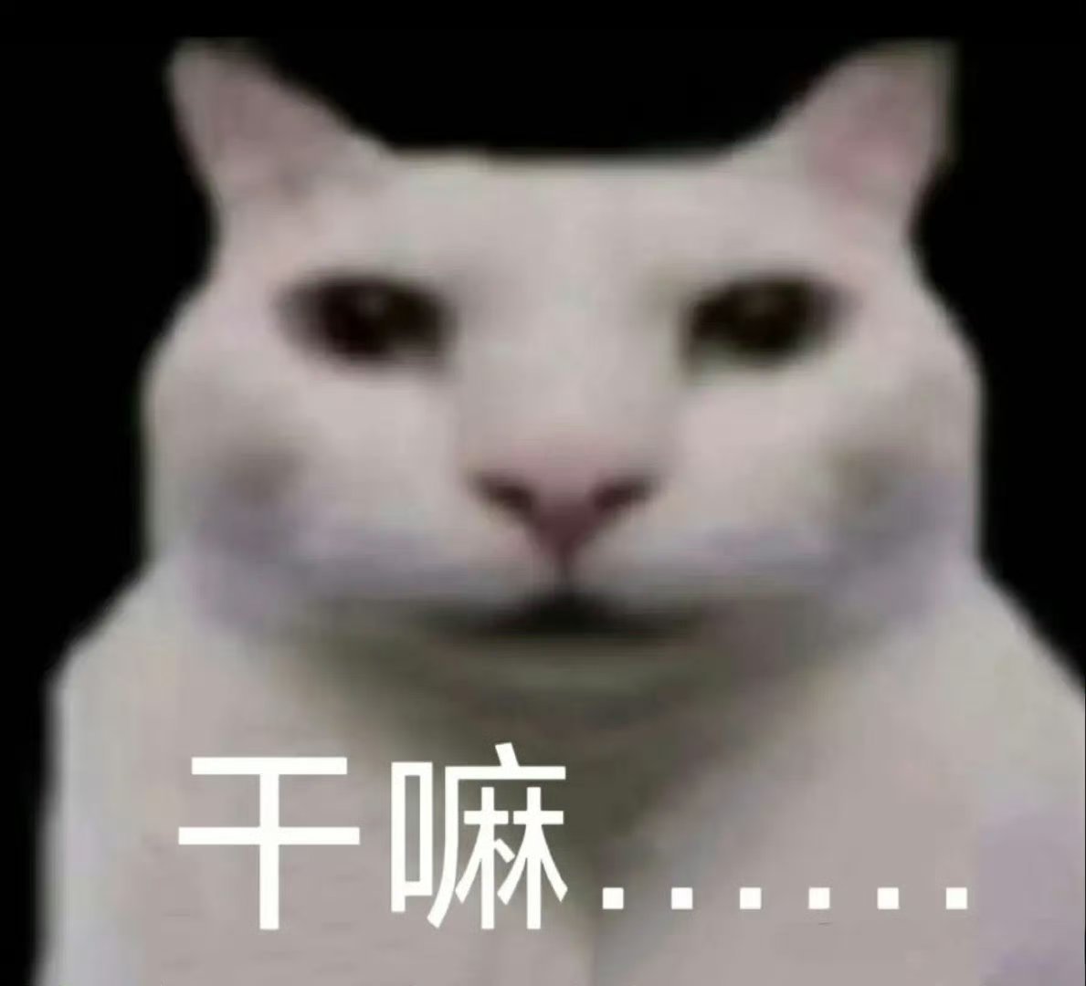 楚你太美 