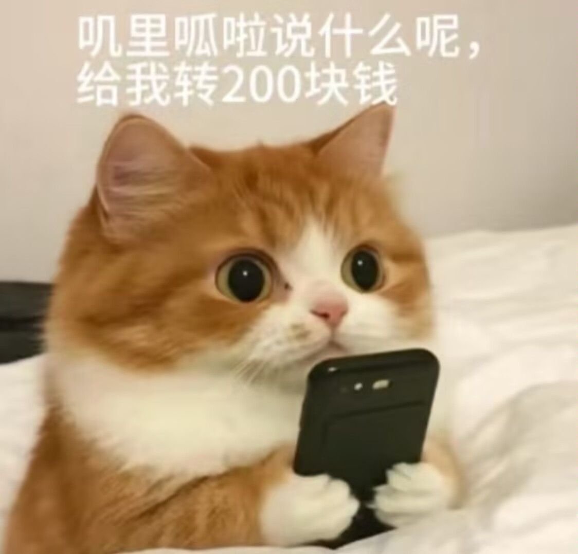 感觉红米K80至尊版已经成为2K元价位性能机的标杆，不管谁家发了新品都要被抬上来