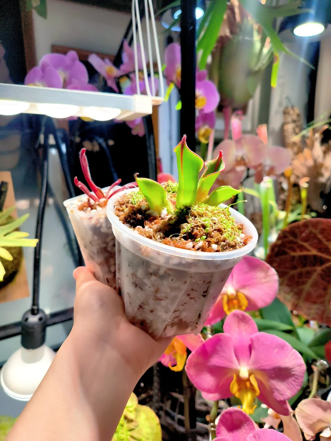 来自大佬的馈赠