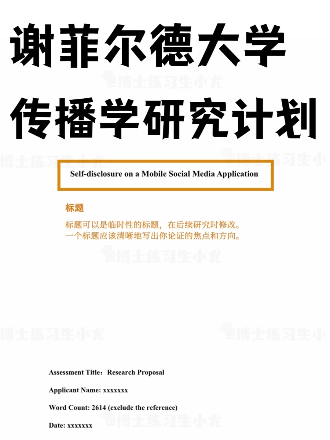 谢菲尔德大学传播学研究计划