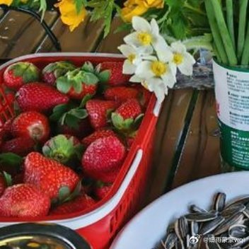 春天一起春游，夏天的晚上一起吃西瓜🍉，秋天在小道上散步，冬天窝在一起看电影~在