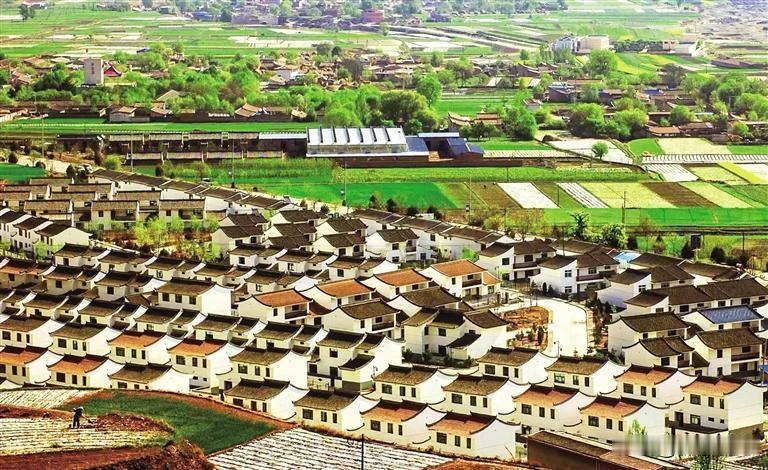 2025年，甘肃省兰州市各县区及相关部门共支持谋划实施乡村振兴示范带项目265个