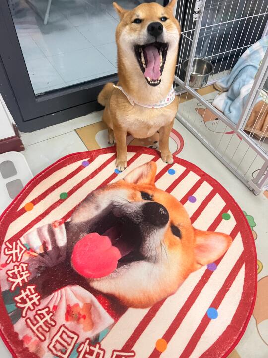 网恋奔现 被照骗了怎么办？