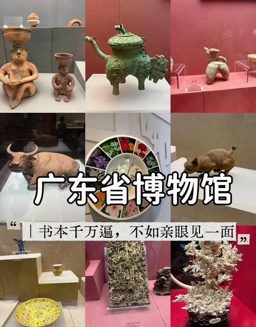 广东省博物馆｜书本千万遍，不如亲眼见一面
带娃首刷广东省博物馆，更新毛豆对史前生
