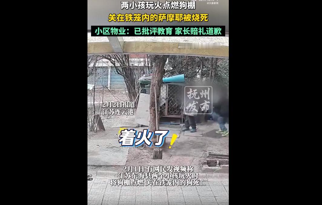 近日，江苏连云港两名男孩在小区玩烟花，黑衣男孩两次将点燃的烟花扔进狗笼，致萨摩耶