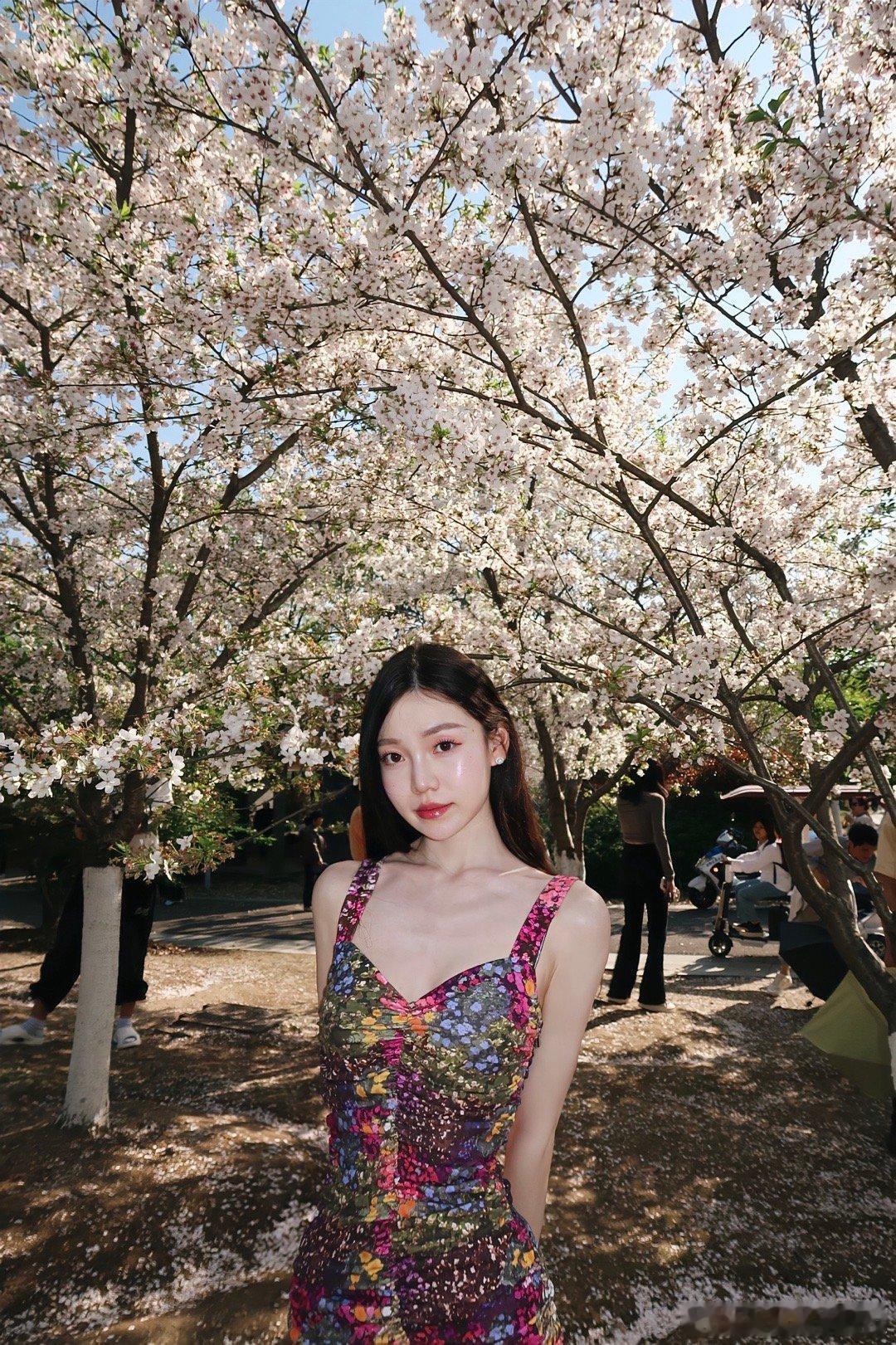 白樱的花语“除你之外 别无他爱” ​​​