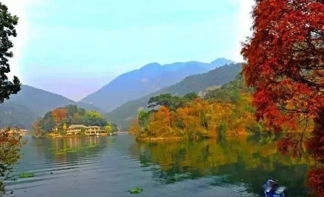 心宽如海，容得下潮起潮落；心定如山，守得住云卷云舒。往后的日子，纵使前路有迷雾，