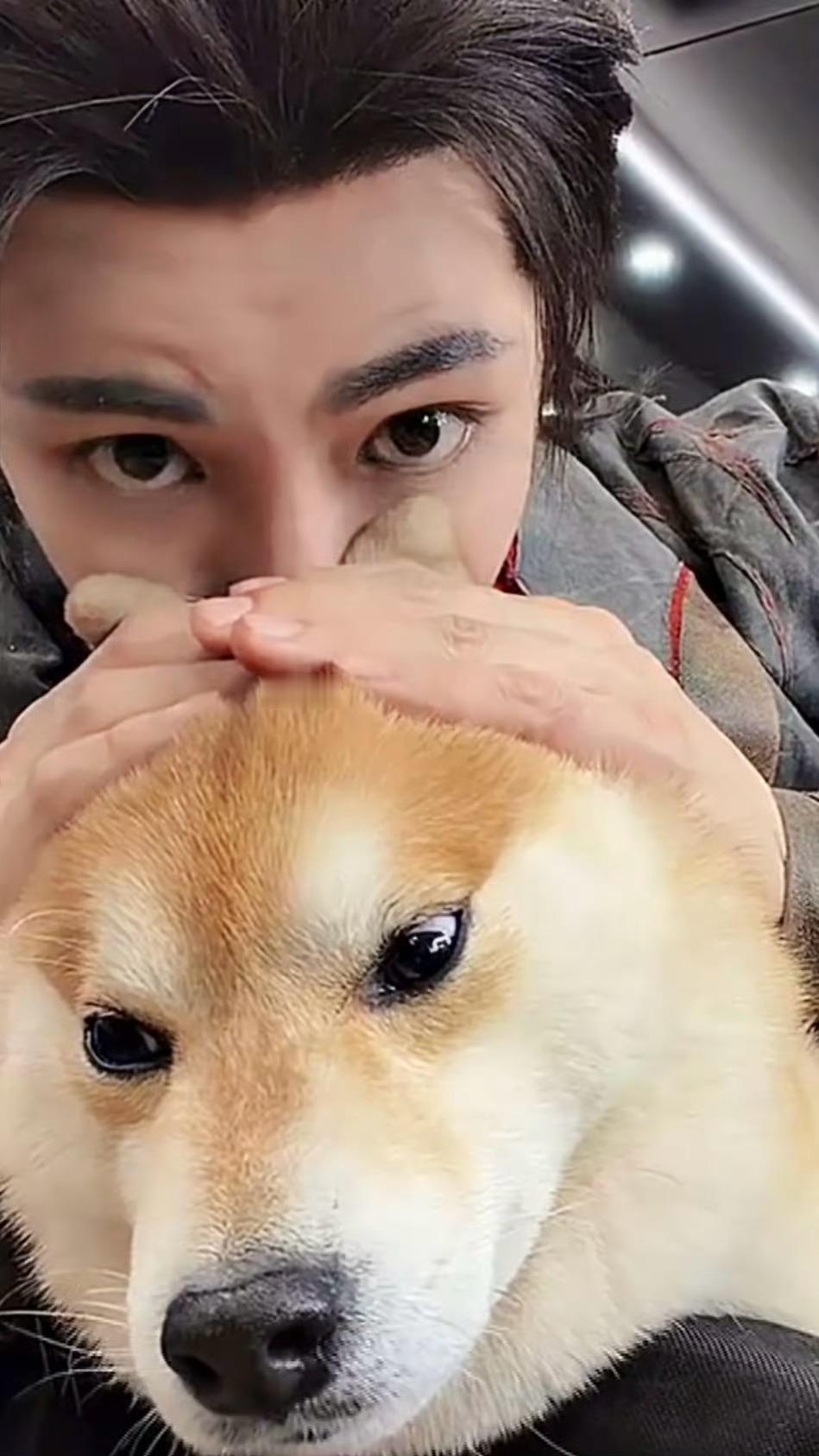 我要笑死了…duang大一只🐶：爸，我为啥要来这么一场吃播？🐱：快来给猕猴桃