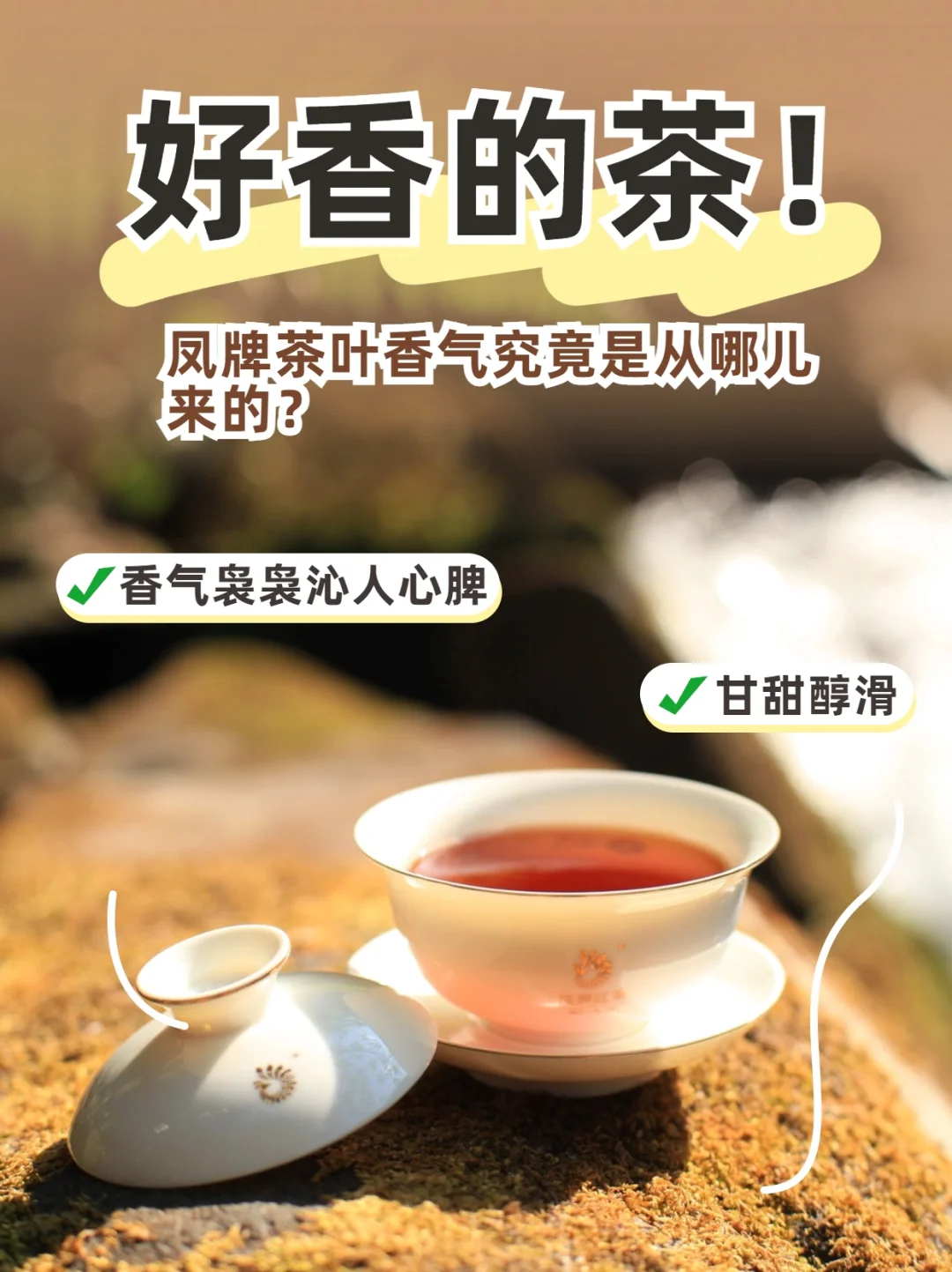 好香的茶！凤牌为什么这么香？