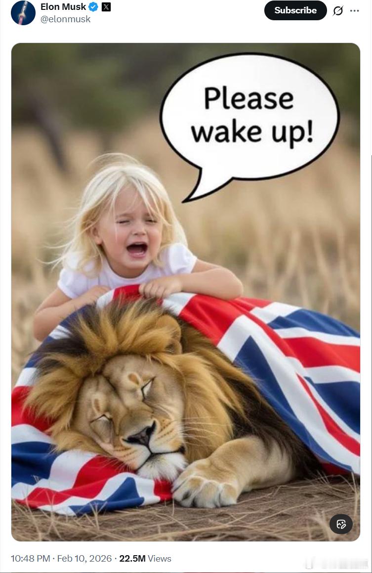 马斯克向英国人发出信息 