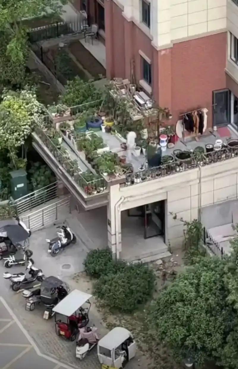 见过买楼送平台的吗？这二楼直接实现‘平台自由’！