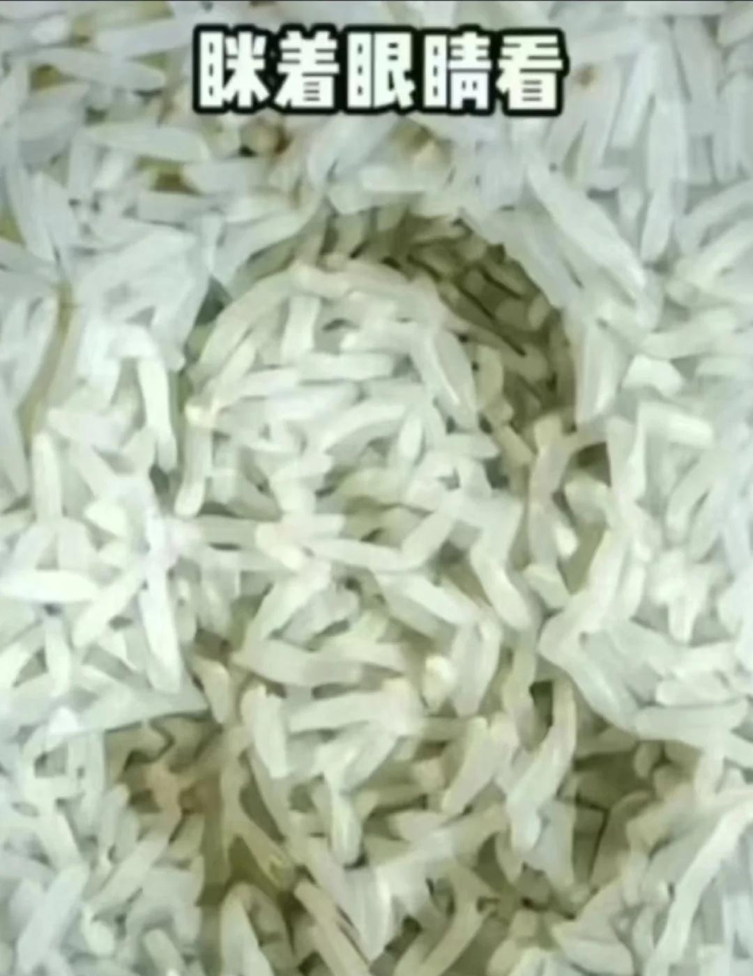 袁隆平爷爷全中国的人都很想您🥰
🌱袁隆平的传奇人生 | 致敬这位伟大的农业科