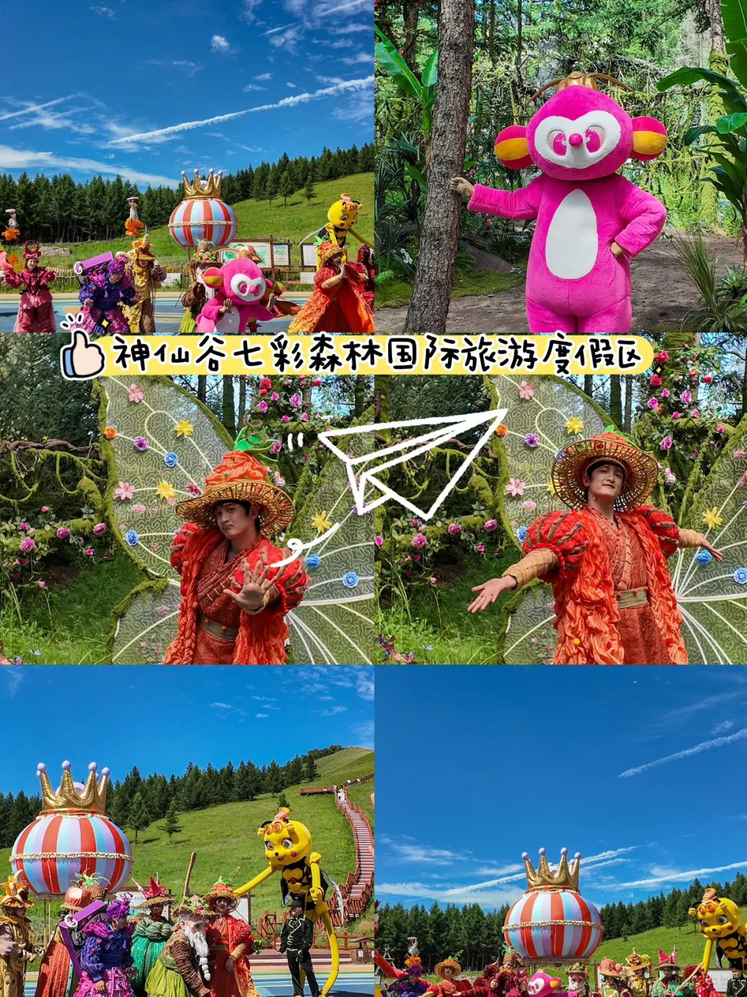 我宣布！七彩森林是今年夏天最让我惊喜的