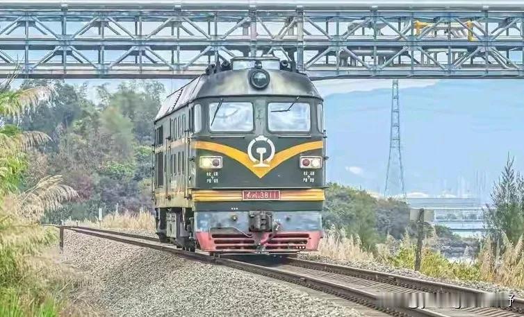 惠大铁路，是广东省内的一条地方铁路，但在支线铁路当中又是一条非常繁忙的铁路。惠大
