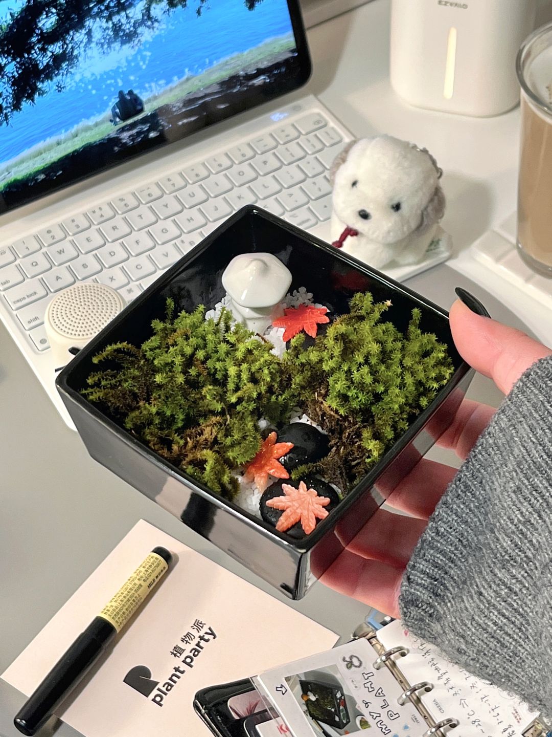 今天和大家分享有生命力的书桌布置秘诀📚