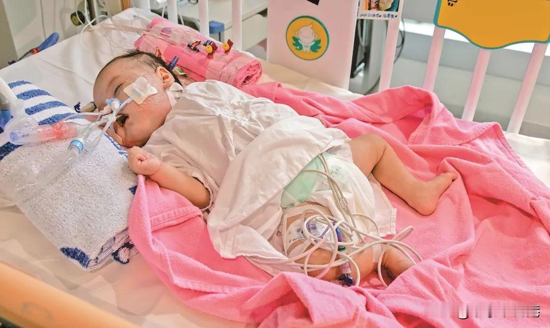 【惊动香港特首求助中央！背后的故事太暖心】
年仅4个多月大的芷希，躺在病床上，全