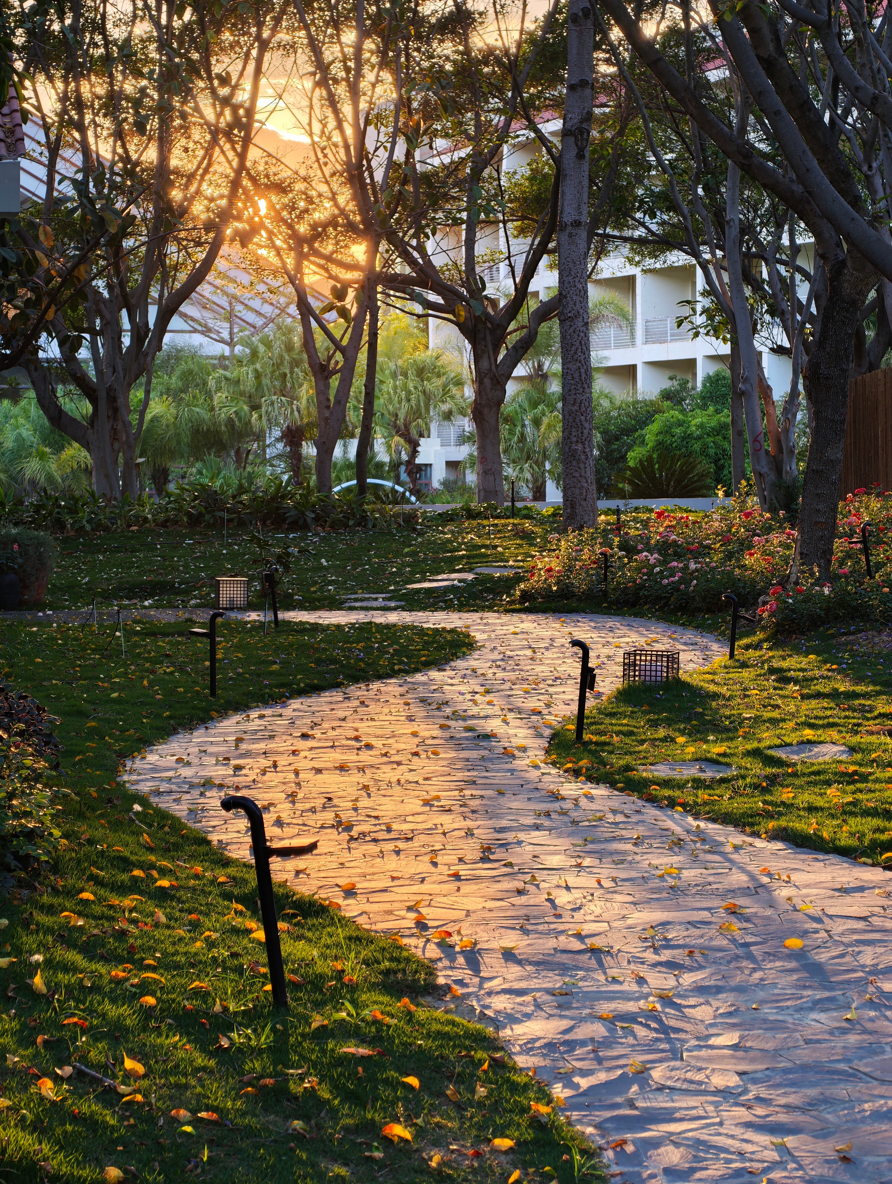 早啊宝们，这个点起床的不多吧