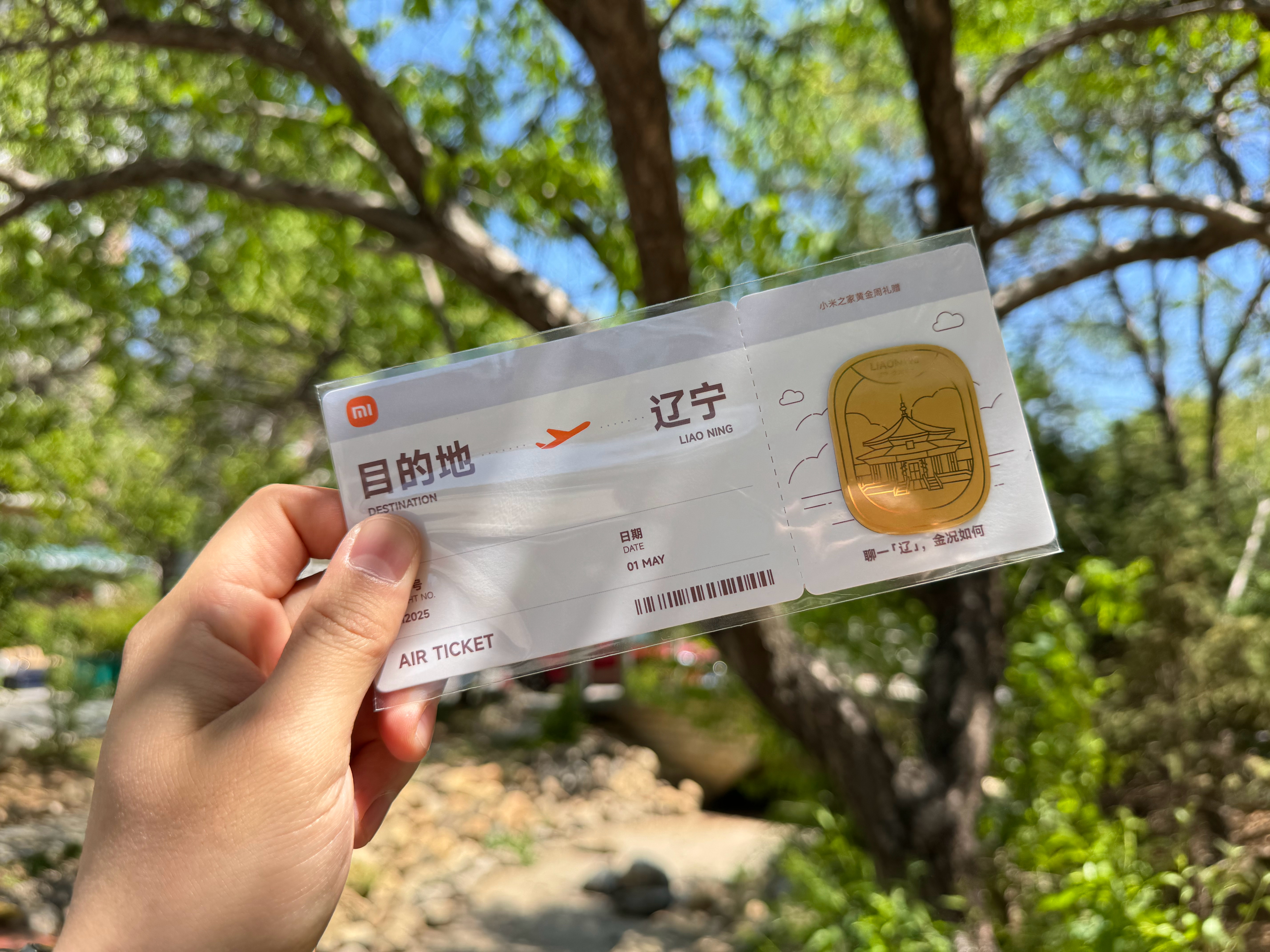 今天去逛小米之家以为金贴没有了没想到还有最后一个！辽宁小米的黄金贴也get到了！