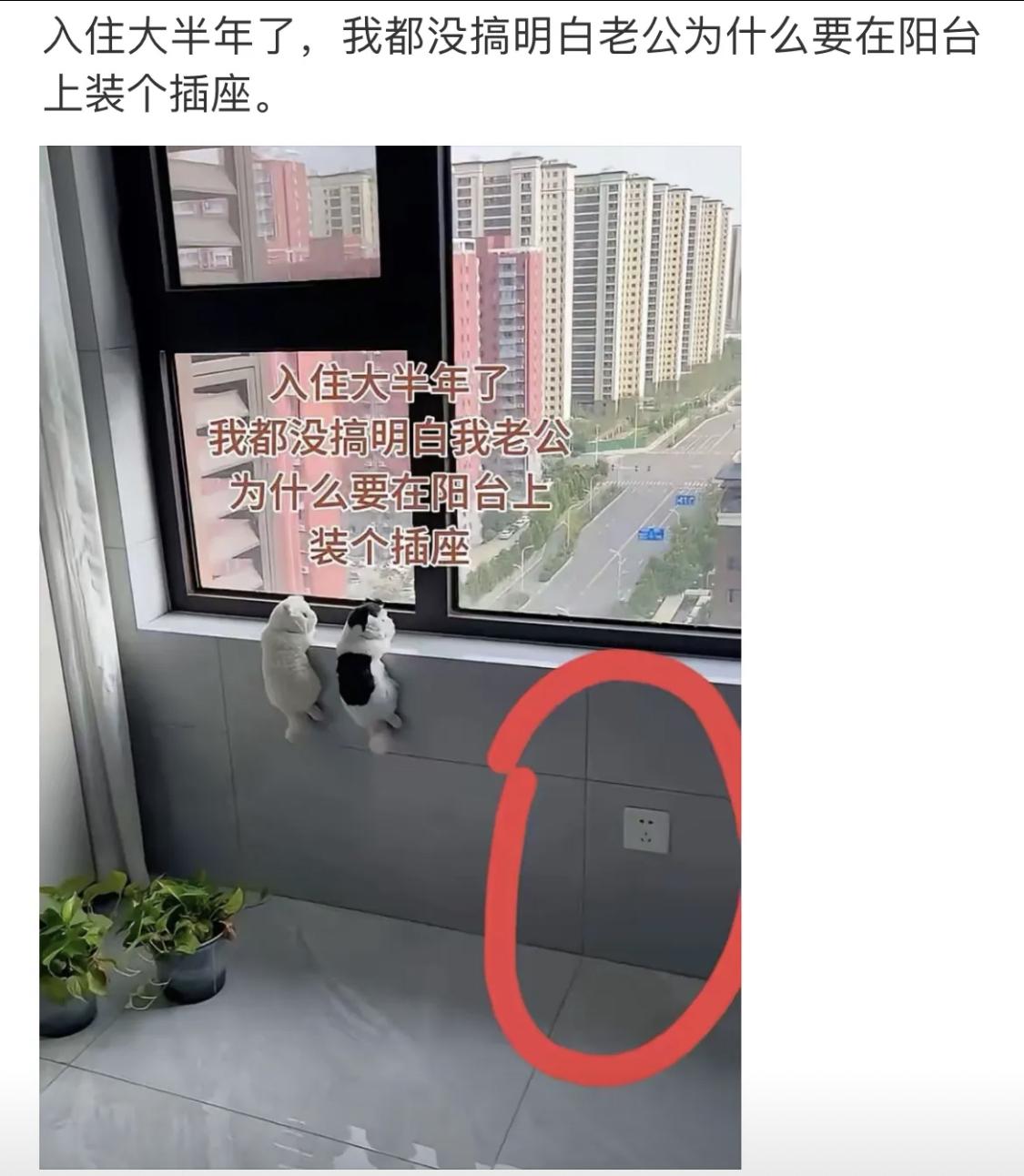 作为男人，我也想了半天没想明白[思考]