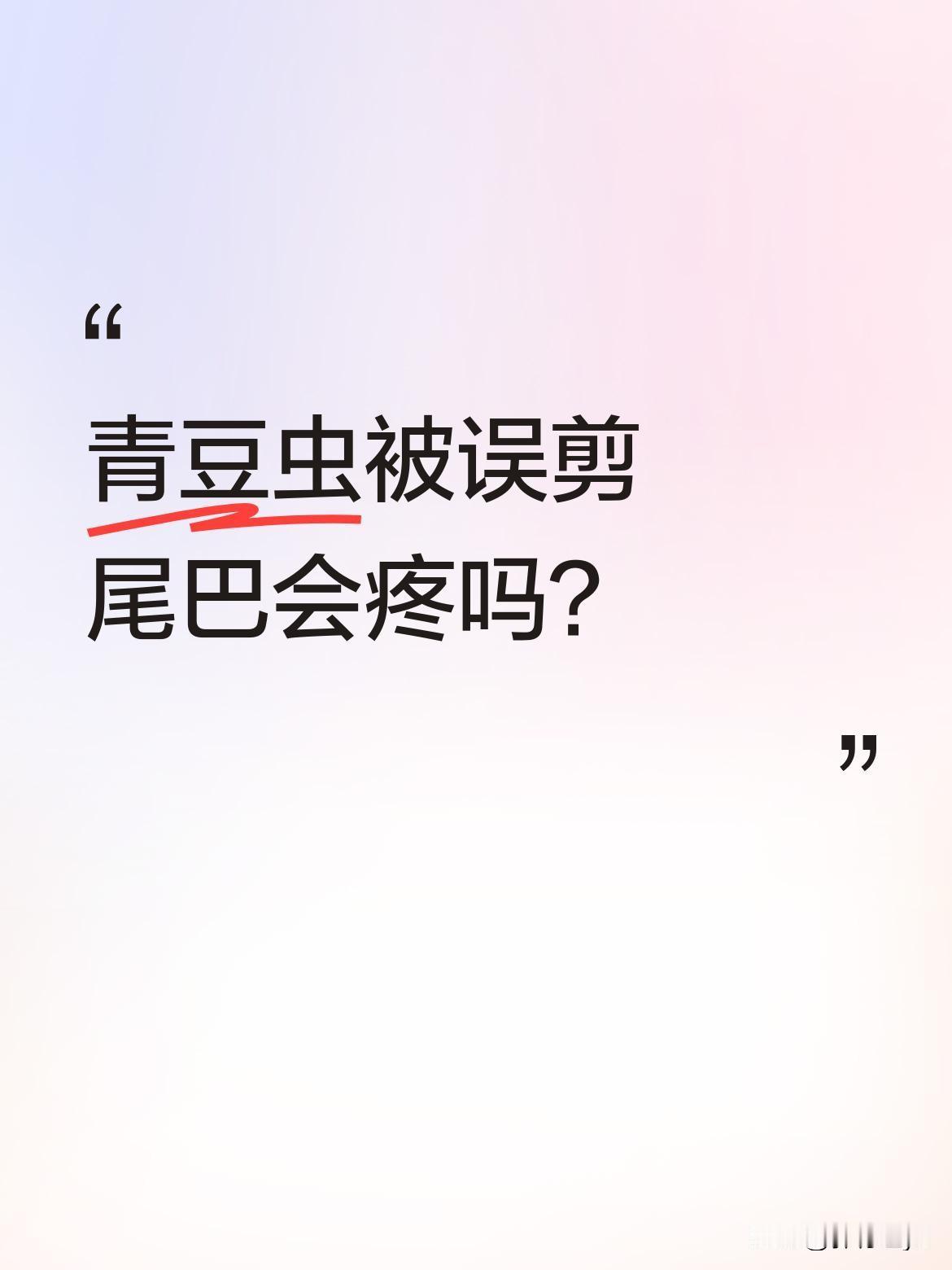 青豆虫被误剪尾巴会疼吗？
一段视频里，小哥误把青豆虫当成叶子，剪刀下去才发现剪到