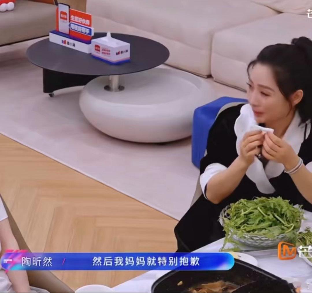 陶昕然曾因母亲生病停工3年 被陶昕然的孝心狠狠感动！在事业上升期选择停工三年照顾