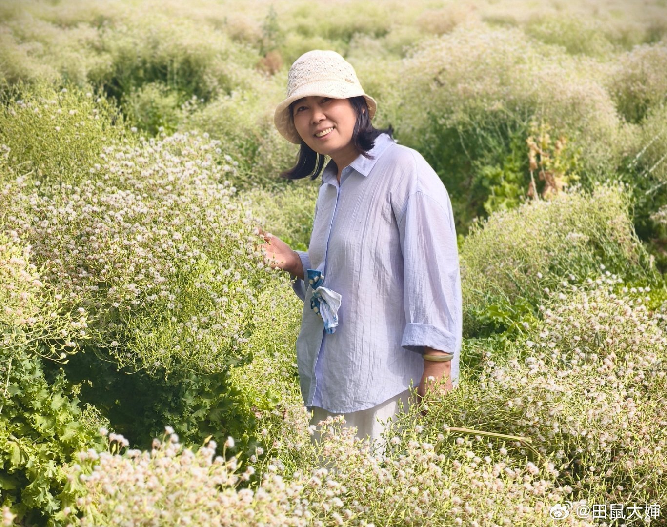 陌上花开，荼蘼不晚，犹可缓缓归~ 