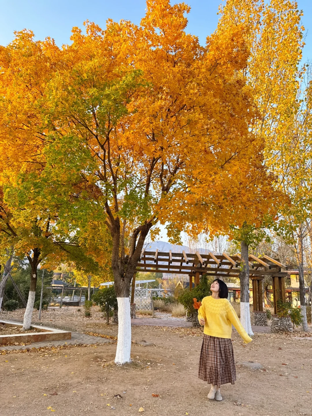 你可以永远相信青岛世博园的秋天🍂🍁‼️