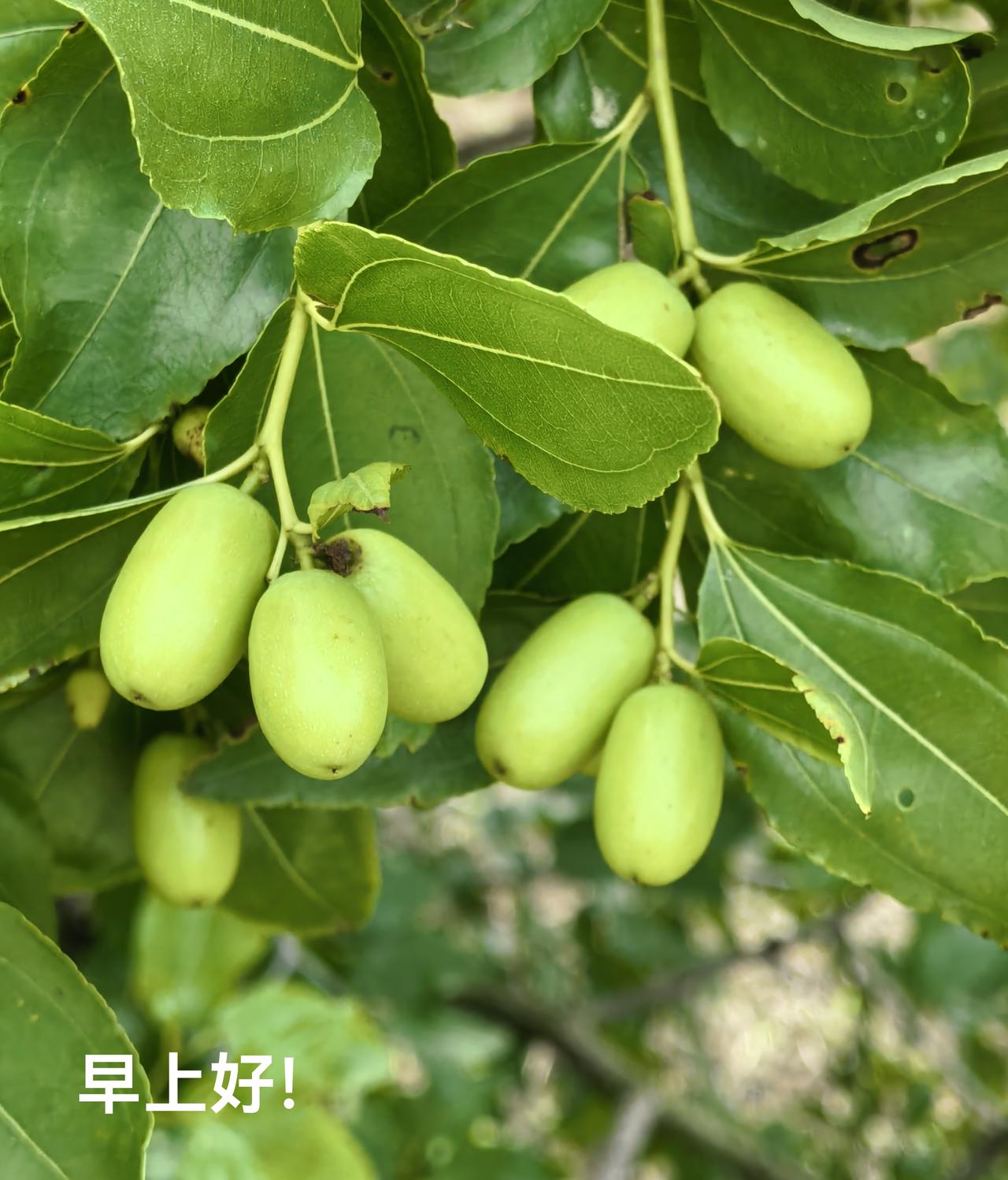 骄阳似火，头条送上问候。粗茶淡饭就是生活，平凡就是幸福美满。简单就是快乐，健康才