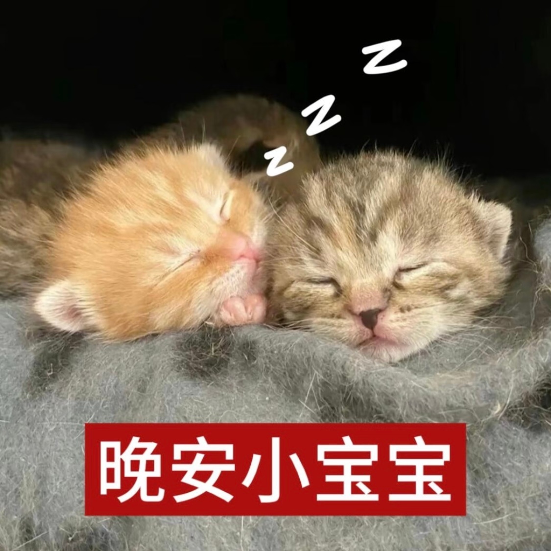 晚安晚安 
