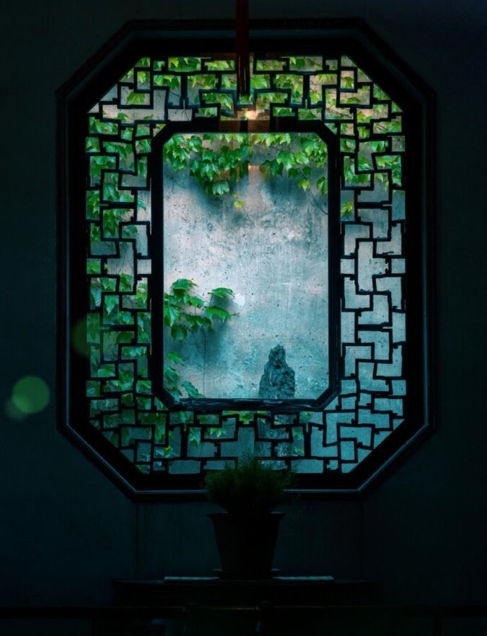 月正树无影，露浓荷有声。——陆游《徙倚》 ​​​