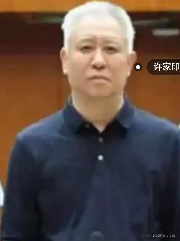 我觉得判轻了！
因为他毕竟捅的窟窿太大了！
许家印被判无期，无期在服刑满13年后