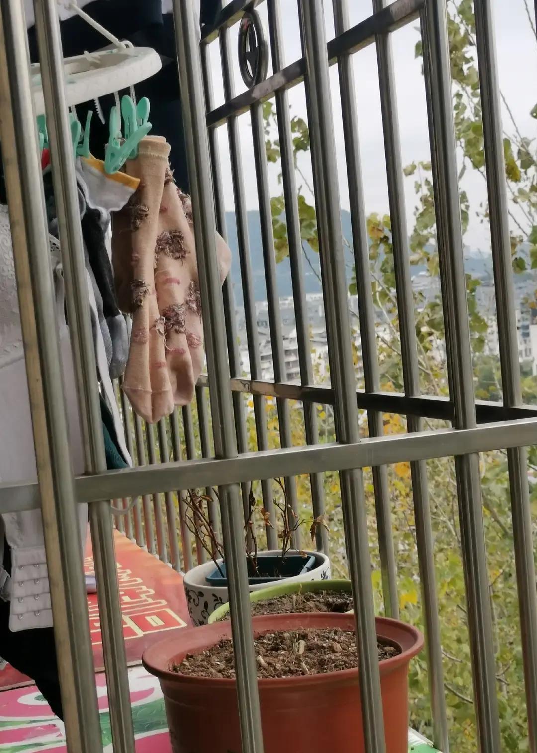 二十几年前山西小厂，车间主任是老板亲哥，秃顶高个，管着几十号人。

年底发苹果，