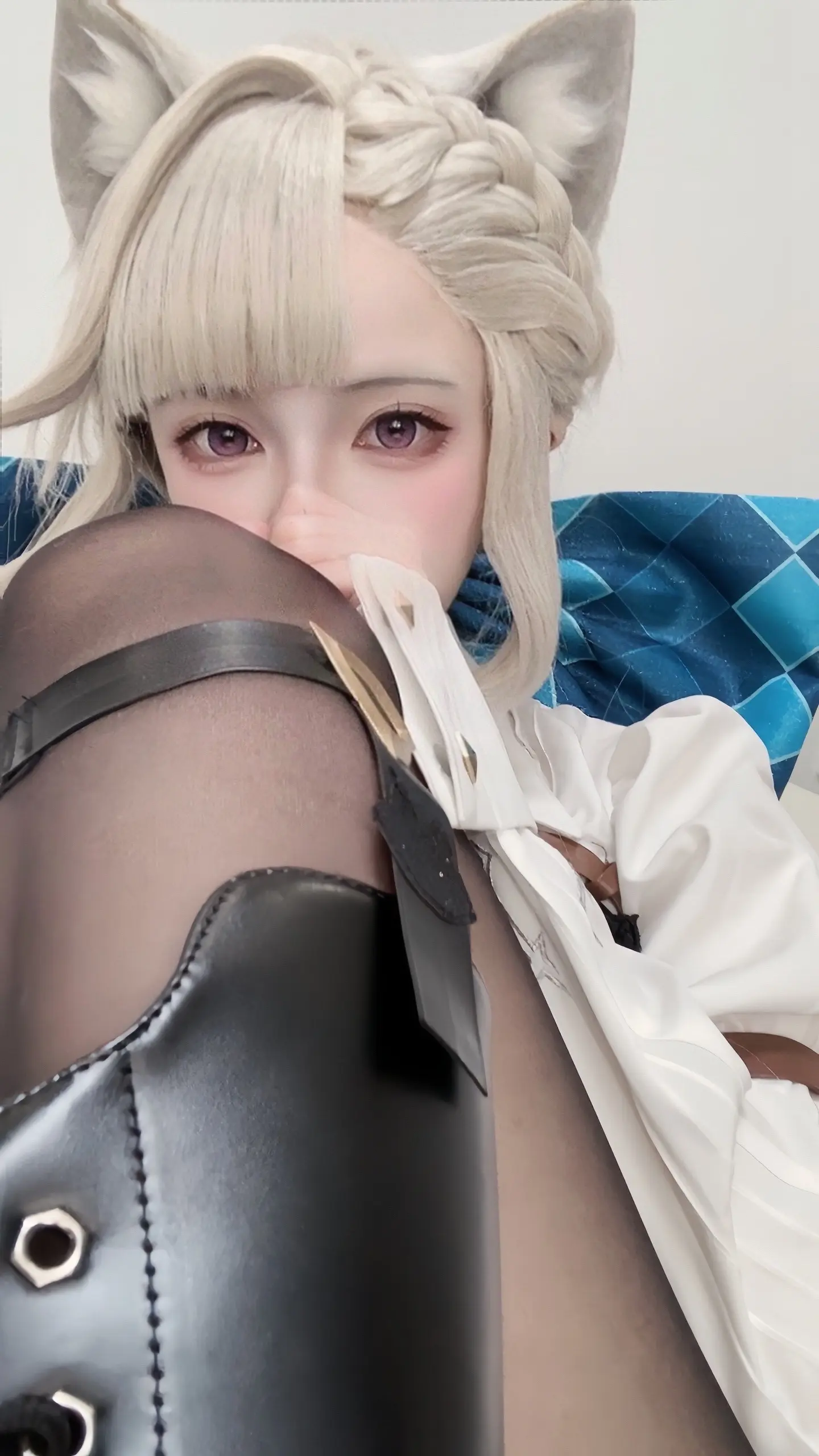 小猫咪。


