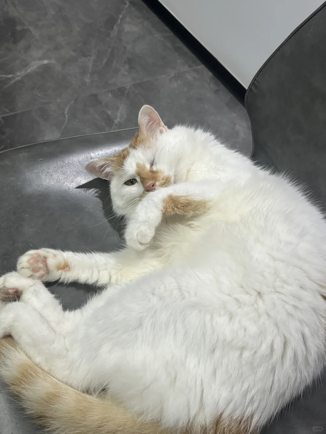 没看到别猫在睡觉吗
