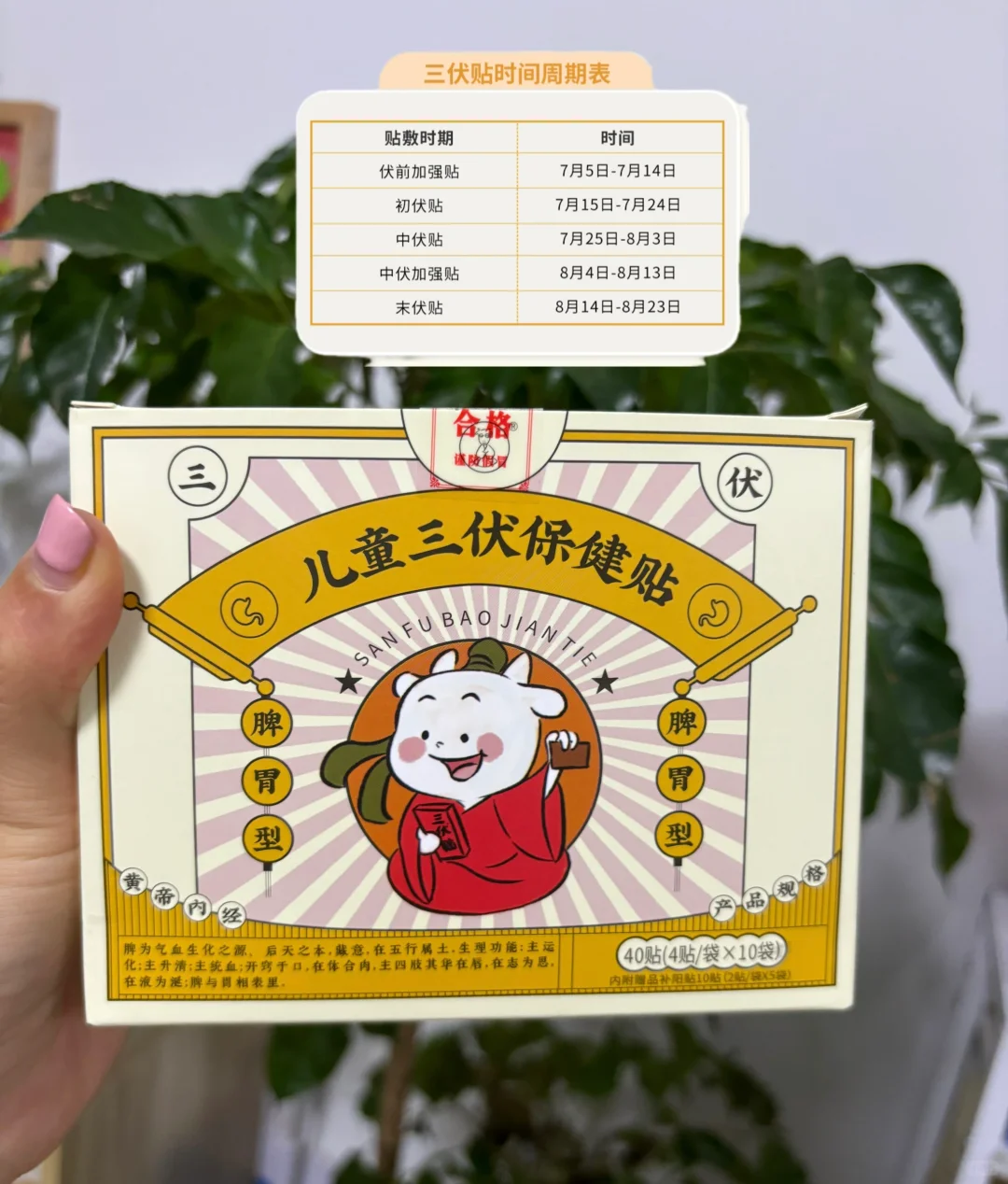 三伏贴敷时间快到啦～