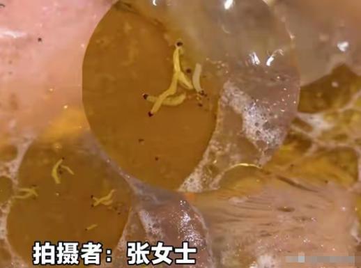 云南昆明，游客在一家饭店品尝菌子火锅，充分烹煮后，发现锅内漂浮多条疑似小虫的白色