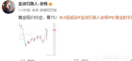 来来来！！[并不简单][并不简单]实力就摆在这里，黄金85空单下至60点斩下25