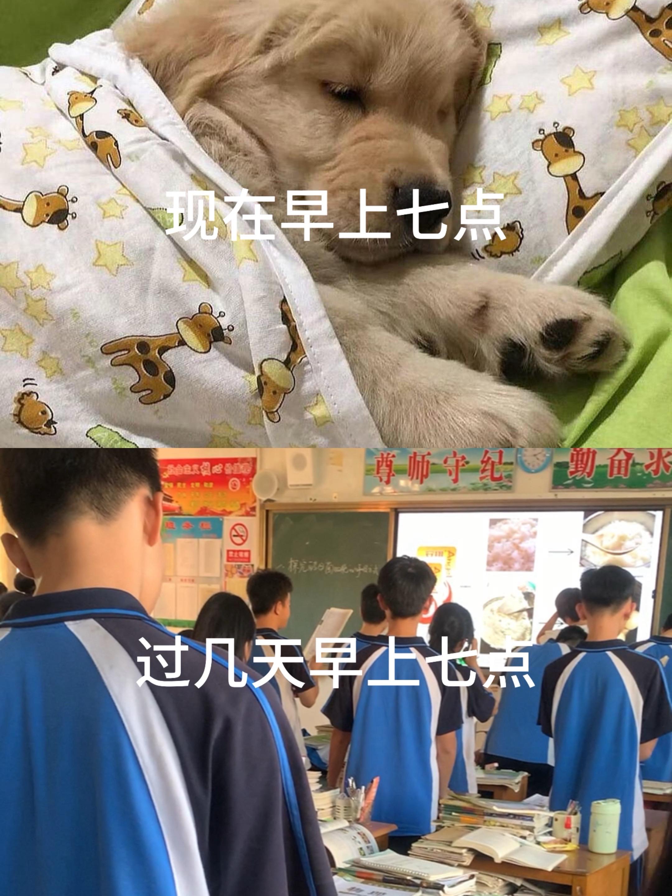 冷知识 过几天开学了