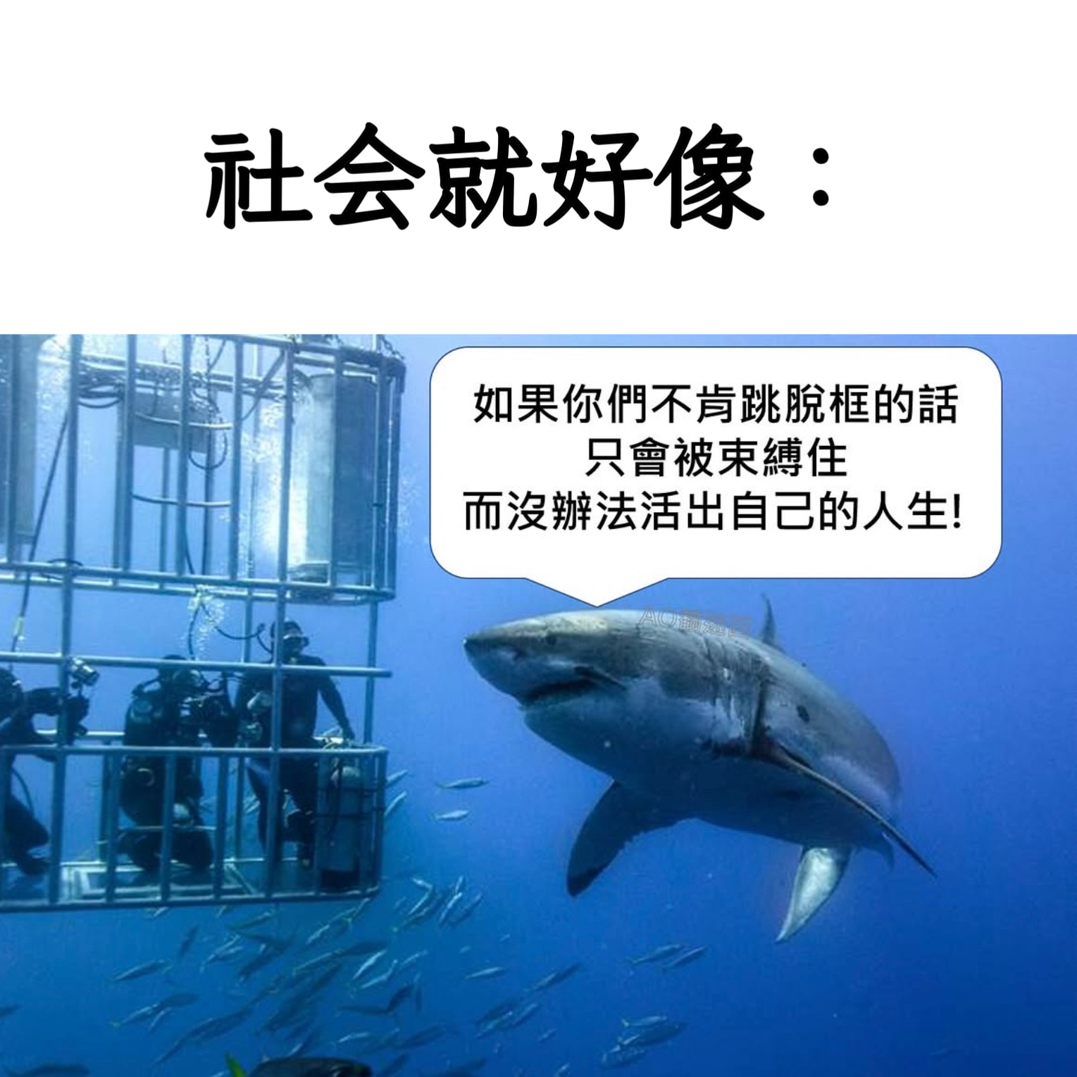 诱导memes ​​​