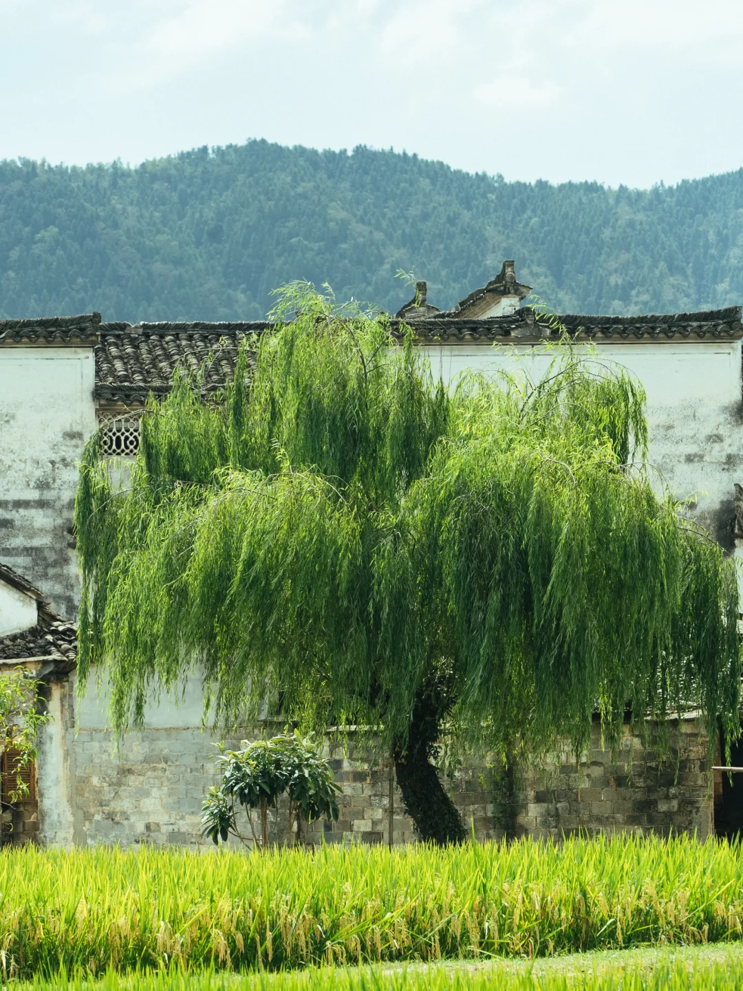 皖南秋日🌾骑进一座真正安静原始的古村落