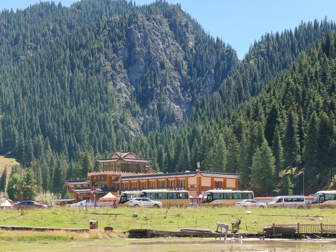 我们家乡在天山脚下，每次回家看到，那连绵起伏的山脉；那一望无际的草原；绿油油地上